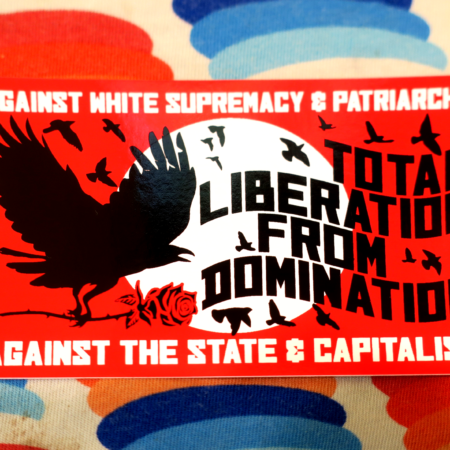 On a colorful geometric pattern of ovals, a red, black and white sticker: "Total Liberation from Domination" in black wavy text. The words Against White Supremacy & Patriarchy, Against the State & Capitalism frame the black text in smaller, white text. A murder of crows flies across the frame, the closest of which carries a black rose.
